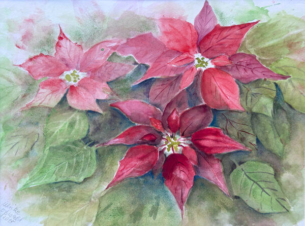 Weihnachtssterne – Bild 2