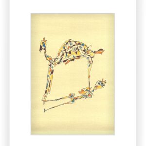 Jarallah Ghaidan 2024-0078